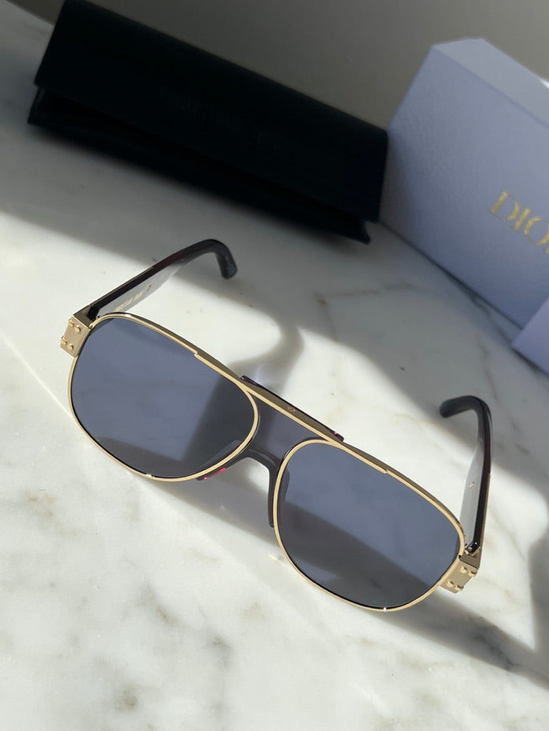 Dior Signature A3U Sunglasses in Blue