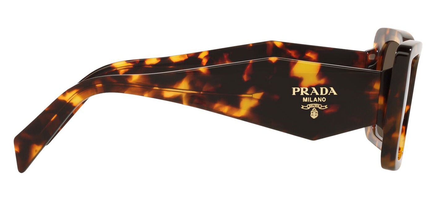 Prada PR08YS Cat Eye Sunglasses in Brown