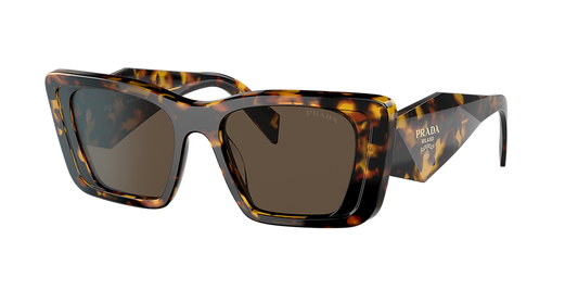 Prada PR08YS Cat Eye Sunglasses in Brown