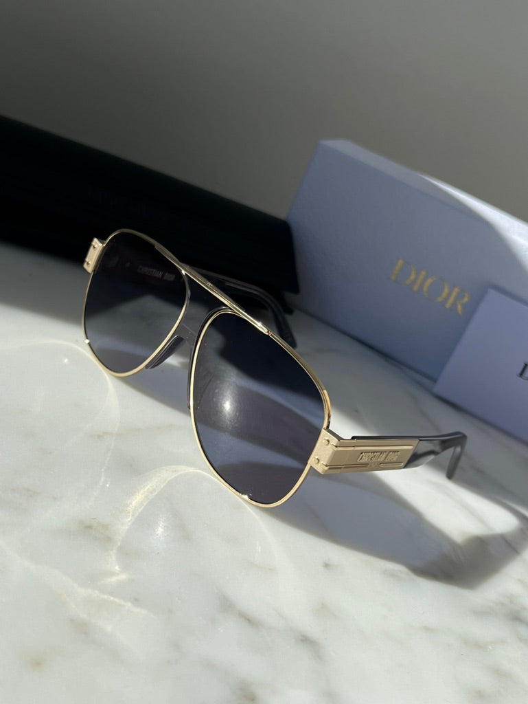 Dior Signature A3U Sunglasses in Blue